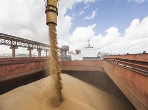 Agronegócio movimenta 25 milhões de toneladas por terminais conectados à FCA