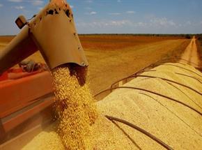 Produção agrícola deve crescer 4,2%