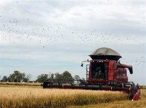 Case IH inaugura concessionária e reforça presença no Rio Grande do Sul