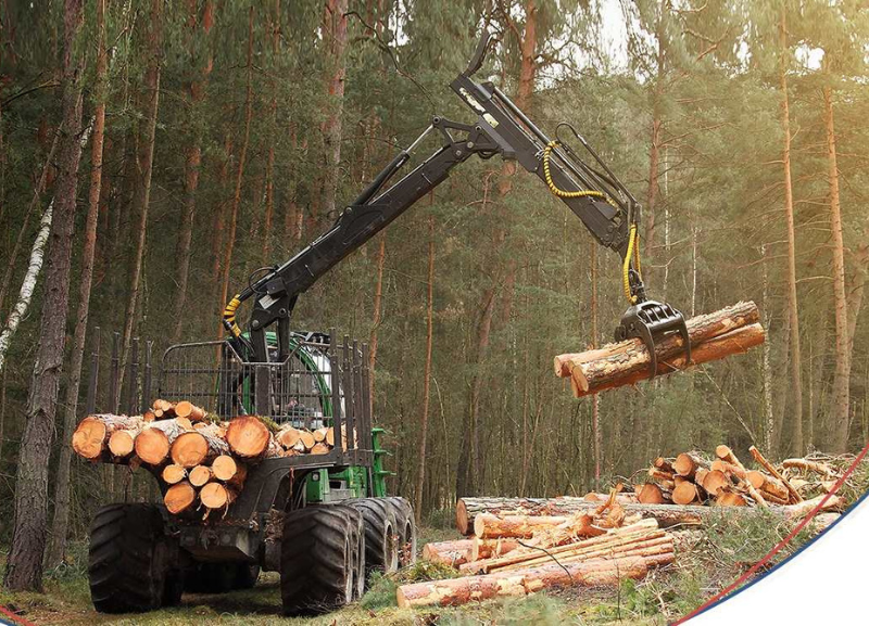 Mercado florestal abre novas oportunidades no campo