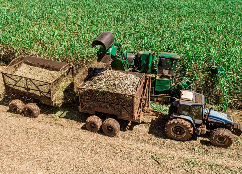 Seguradora de máquinas e implementos agrícolas cresce 70% no 1º quadrimestre